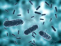 Comunitarios de Los Minas alertan de posible brote de Cólera