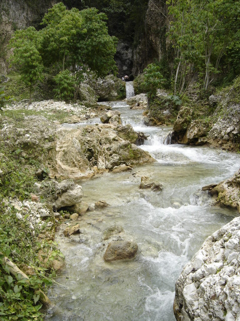 ¡Ya los reos dominicanos trabajan por su comida!