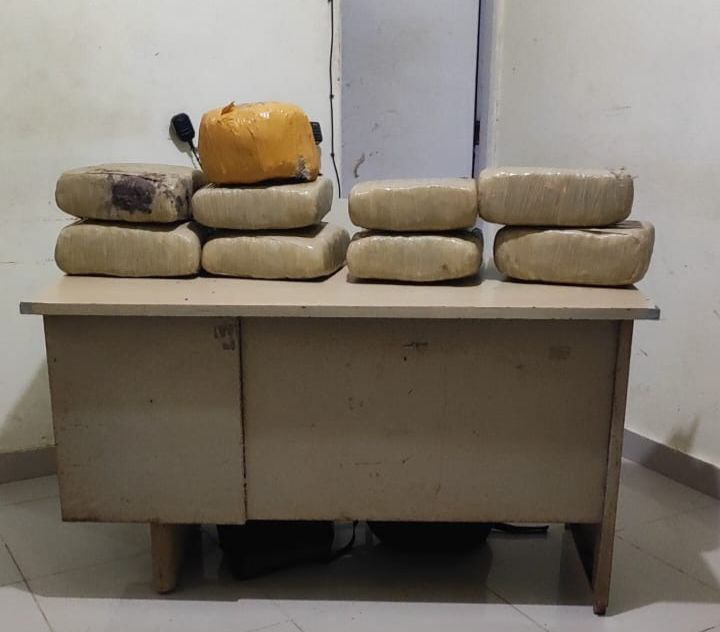 Diputados piden se profundicen procedencia de 9.8 tonelas de drogas