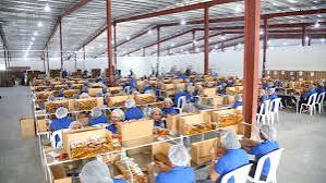 Comité Nacional de Salarios aprueba un 25% al salario mínimo de Zona Franca