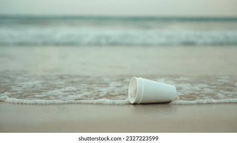 Poder Ejecutivo impulsa desmonte de uso de foam